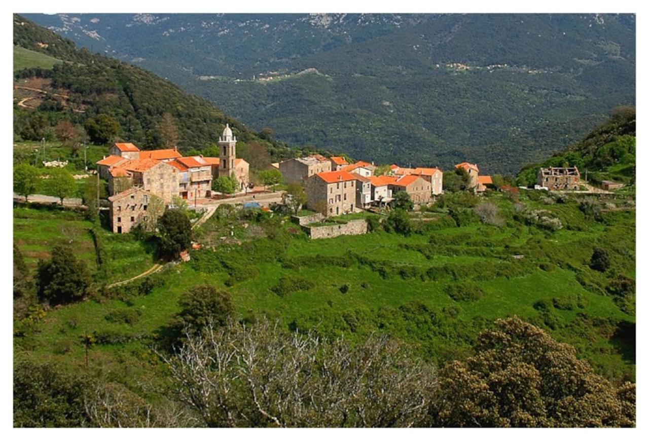 Casadimela Villa Porto-Vecchio  Dış mekan fotoğraf